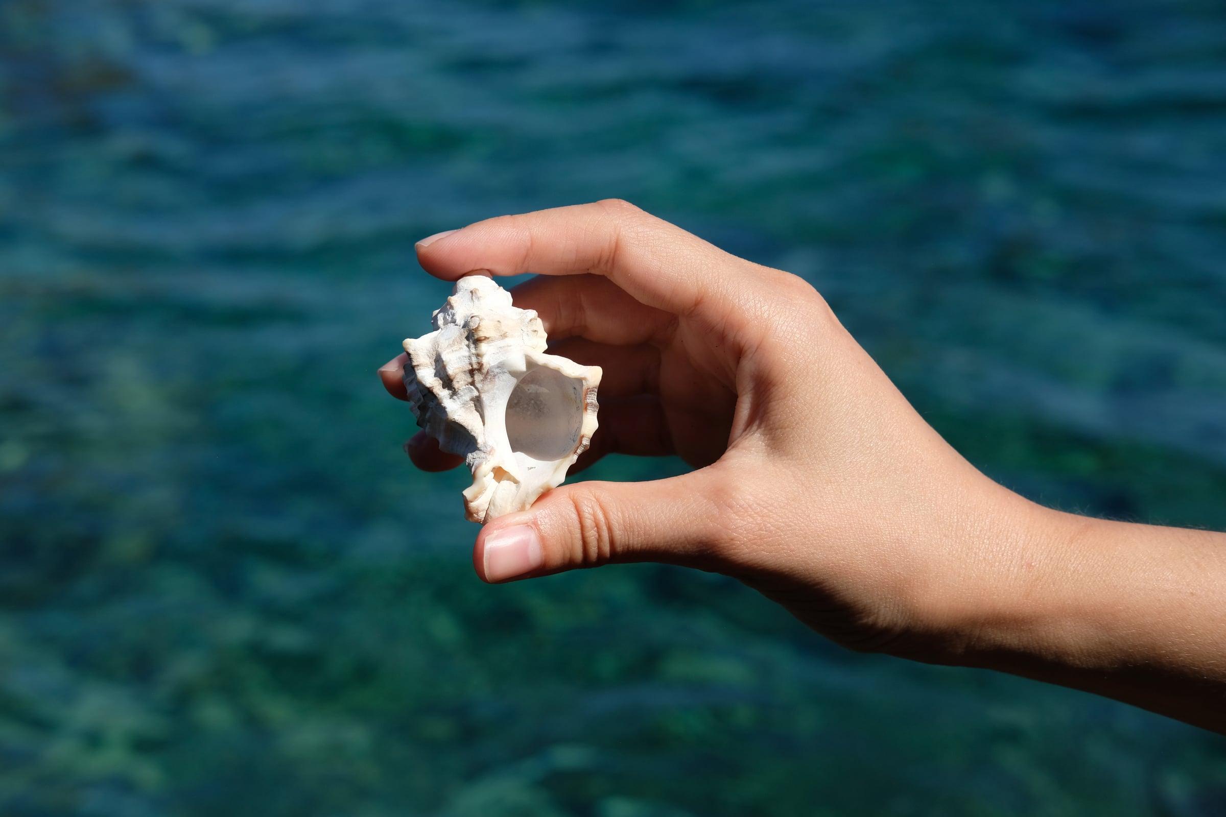 Mano de mujer sosteniendo un concha con el mar de fondo